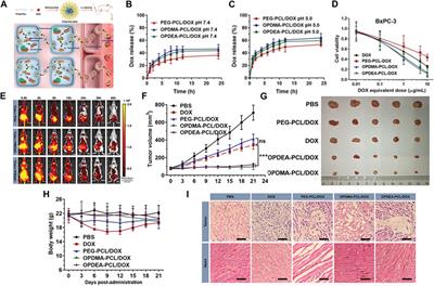 Biodegradable polyester-based nano drug delivery system in cancer chemotherapy: a review of recent progress (2021–2023)